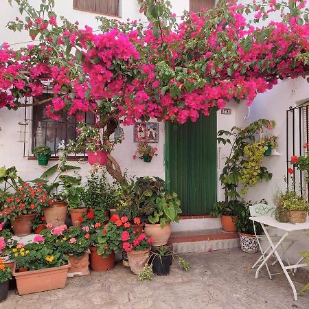 La Buganvilla De Juana Y Antonio Casares Extérieur photo