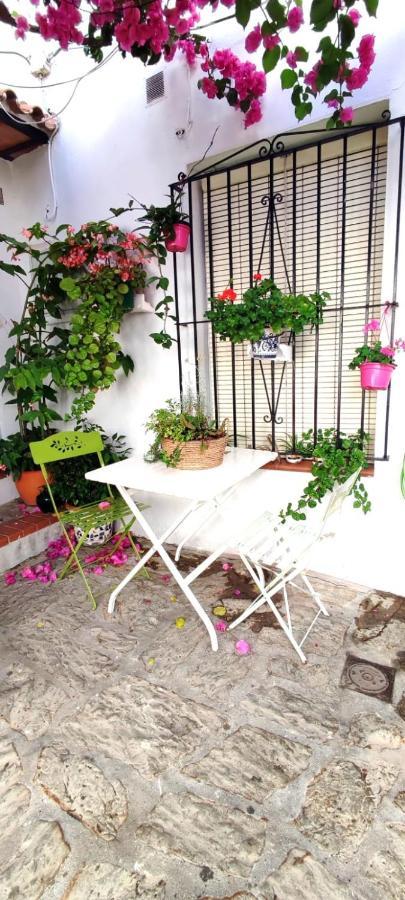La Buganvilla De Juana Y Antonio Casares Extérieur photo
