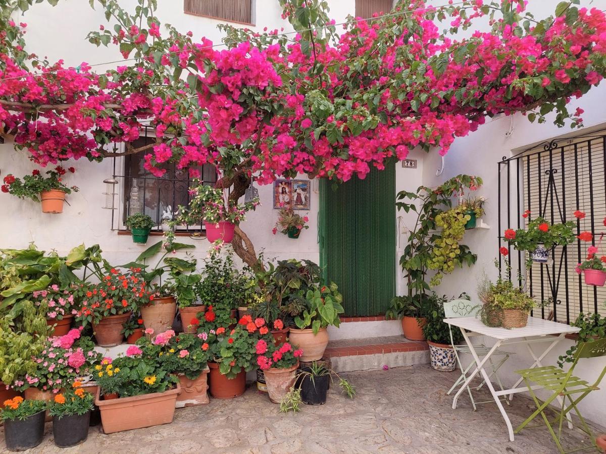 La Buganvilla De Juana Y Antonio Casares Extérieur photo